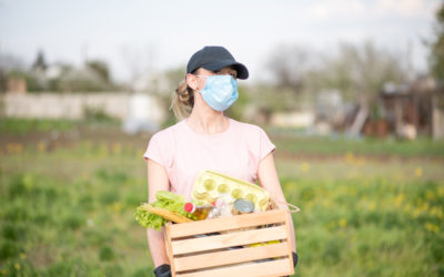 Adapting Agriculture in Florida during the COVID-19 Pandemic: COVID-19 testing for migrant workers in Florida and the Farm to You webpage (November 19, 2020)
