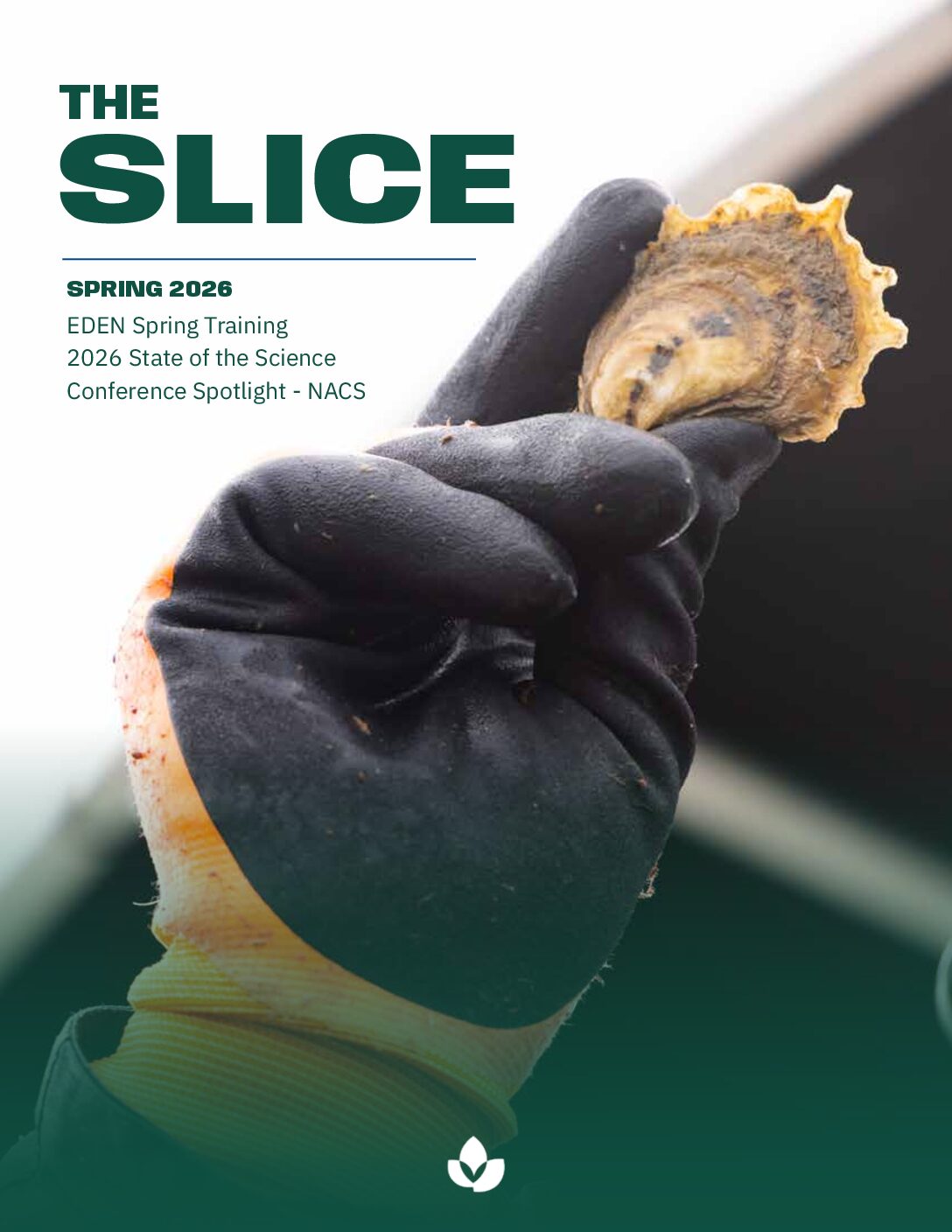 Summer_Slice_2026 cover